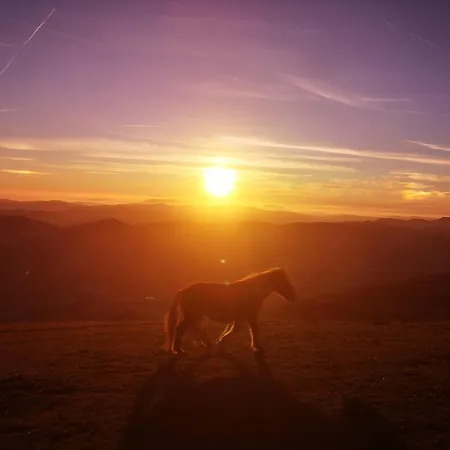 Turistico Gasparrini Appartement *