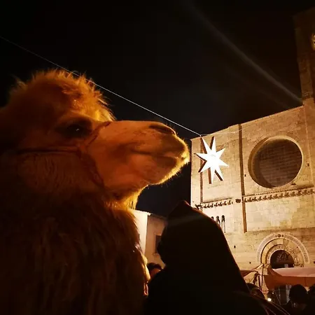 Turistico Gasparrini 아파트 베바냐