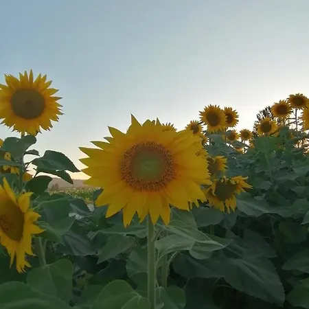 Appartement Turistico Gasparrini Bevagna