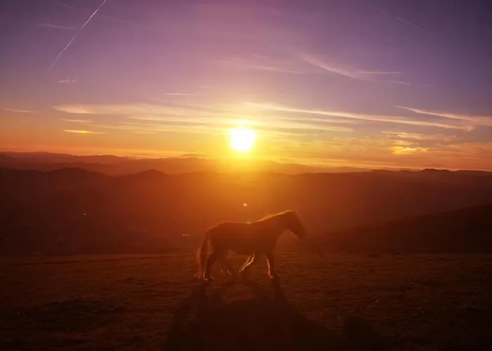 Turistico Gasparrini Lejlighed *